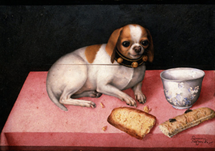 Giovanna Garzoni, Dog with biscuits and a Chinese cup, c1640. Pitti Palace, Florence.