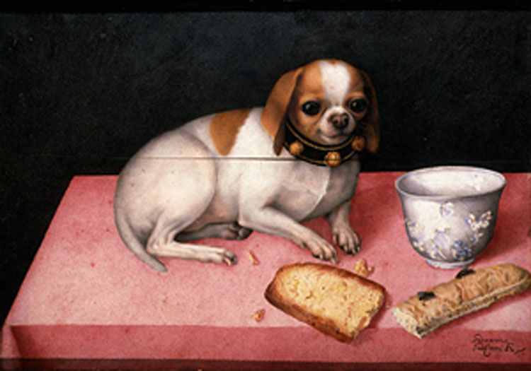 Giovanna Garzoni, Dog with biscuits and a Chinese cup, c1640.  Pitti Palace, Florence.