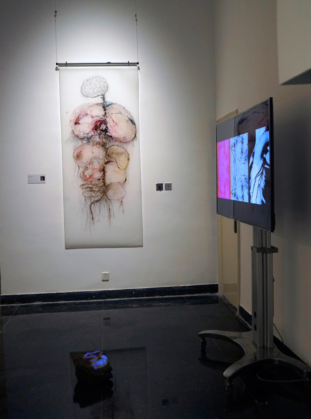 Anita Glesta. Pulse, 2018. Multimedia installation, dimensions variable. Photograph: Miguel Benavides.