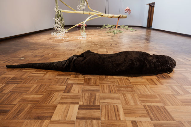 Ingela Ihrman. Installation view, courtesy Cooper Gallery, DJCAD and Ingela Ihrman.