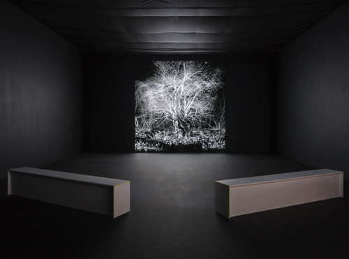 IC-98. Abendland (Hours, Years, Aeons), 2015. Installation view. Photograph: Ruth Clark.