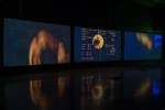 Shona Illingworth. Lesions in the Landscape, 2015. Installation view (2), FACT. Photograph: Jon Barraclough. With thanks to ESA.