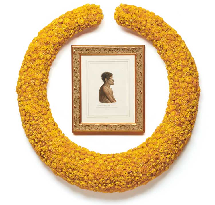 Jonathan Jones. Untitled (remembering Eora: Ourou-Maré), 2021. After Barthélemy Roger, after Nicolas-Martin Petit. Golden everlasting paperdaisy (Xerochrysum bracteatum) flowers on polystyrene foam, polyurethane hardcoat and acrylic paint; framed hand-coloured historical engraving approx. 111.5 × 107 cm. Overall dimensions variable. Photo: Jenni Carter.