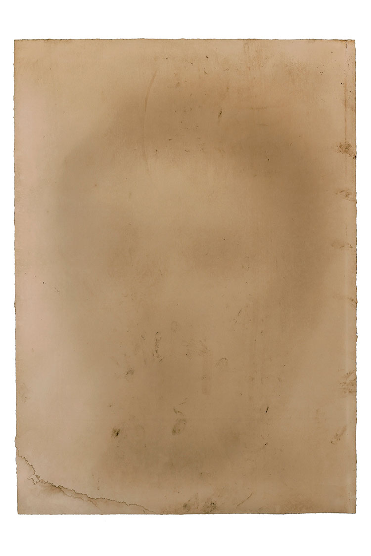 Adam Jeppesen. Terence D, 2021. Anthotype on paper, 70 x 96 cm. © the artist.