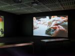 Valentina Karga: Well Beings, installation view, Kunstmuseum Bochum, Germany, 29 March – 31 August 2025. Photo courtesy Kunstmuseum Bochum.