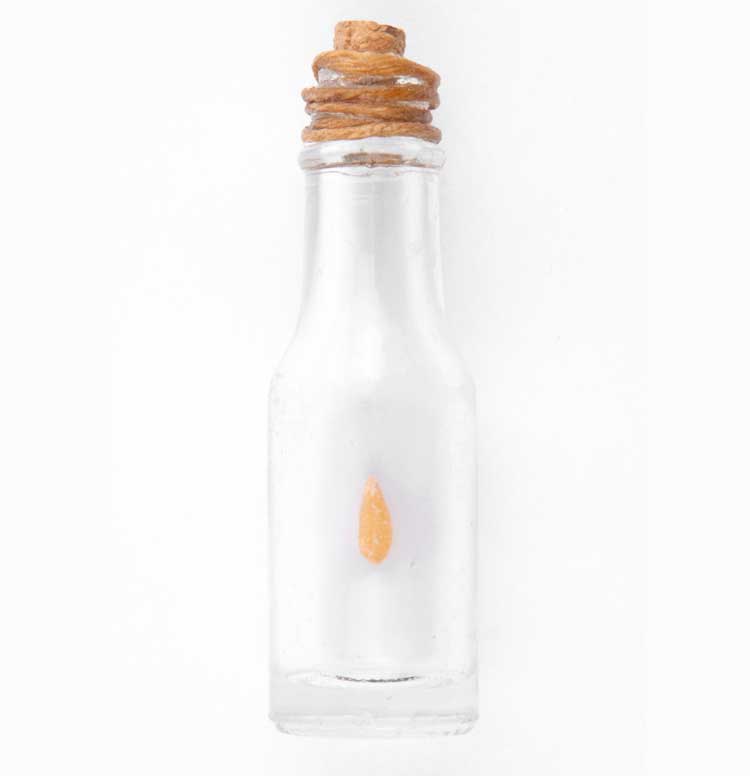 Issam Kourbaj, The Message, 2020. Single Syrian wheat seed inside glass bottle. Photo: This Is Photography. Courtesy the artist.