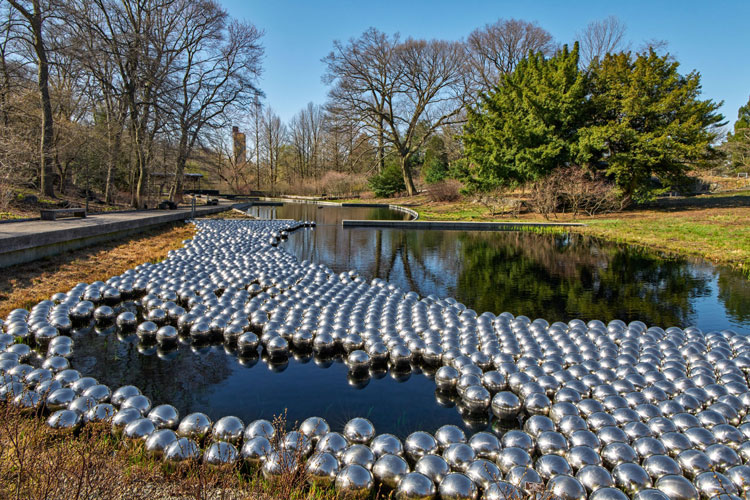 Yayoi Kusama. Narcissus Garden, 1966/2021, The New York Botanical Garden. 1,400 stainless steel spheres. Collection of the artist. Courtesy of Ota Fine Arts, Tokyo/Singapore/ Shanghai; David Zwirner, New York; Victoria Miro, London/Venice. Photo: Robert Benson Photography.