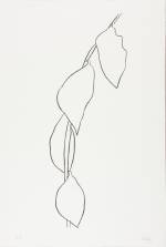 Ellsworth Kelly. Lemon Branch (Branche de Citron), 1965–66. Transfer lithograph on Rives BFK paper, 35 3/8 x 24 1/8 in (89.9 x 61.3 cm). Norton Simon Museum, Gift of the Artist, 1969, P.1969.059. © Ellsworth Kelly Foundation and Maeght Éditeur.