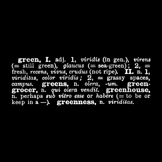 Joseph Kosuth. 'Titled (A.A.I.A.I.)' [green] (Eng.-Latin), 1968. Mounted photograph, 122 x 122 cm. © Joseph Kosuth. Courtesy of the artist and Sprüth Magers.