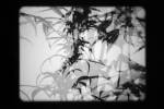 Joachim Koester. The Hashish Club, 2009. 16mm film, animation, black and white, silent 6 min 6 sec, film still. Courtesy the artist and Galleri Nicolai Wallner, Denmark.