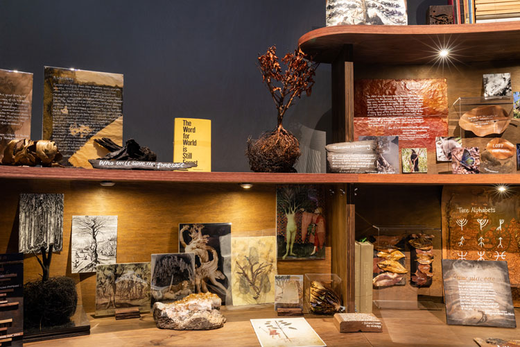 Janet Laurence, Knowledge (Tree of Life), 2018-19 (detail). Installation view, Janet Laurence: After Nature, Museum of Contemporary Art Australia, Sydney, 2019. Botanical books from the artist’s private library, artist’s sketchbooks, wood specimens, prints on watercolour paper, prints on opalescent paper, handwritten texts, video extracts, plywood, metal, duraclear, bird’s nest, audio: Dr Ann Jones and Prof David Lindenmayer, ‘Sounds of a wild night in the forest’, Off Track, ABC, source imagery: m3architecture, Brisbane; The Wilderness Society; City of Sydney; Spring Bay Mill; Bob Brown Archive; and the Centre for Compassionate Conservation, University of Technology Sydney, collection of the artist, image courtesy the Museum of Contemporary Art Australia © the artist. Photo: Zan Wimberley.