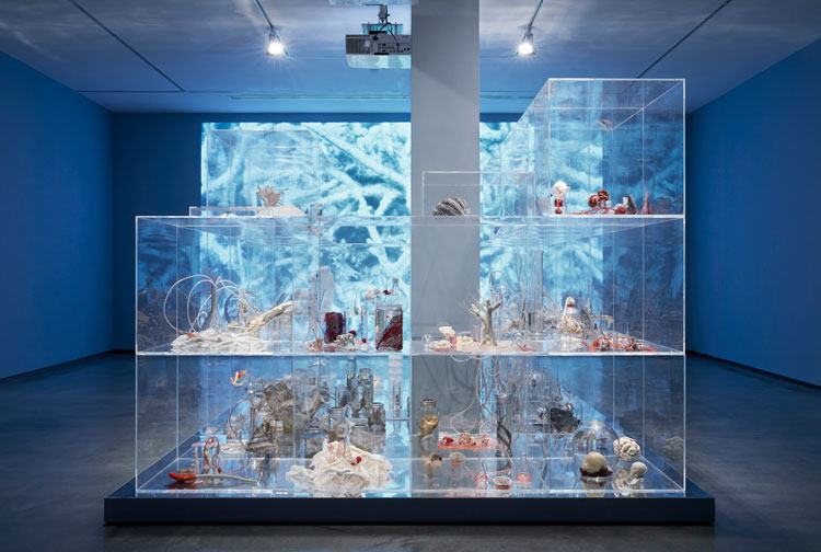Janet Laurence, Deep Breathing: Resuscitation for the Reef, 2015–16 / 2019. Installation view, Janet Laurence: After Nature, Museum of Contemporary Art Australia, Sydney, 2019. Wet, coral, coral drill core and dredge specimens, resin castings, 3D-printed skeletons, fish bones, tubing, laboratory glass, silicon, mirror, pigment, thread, acrylic, sand, glass, shells, clay, video projections, coral block CT scan from the Geocoastal Research Group, School of Geosciences, Marine Studies Institute, University of Sydney, selected specimens from the Collection of the Australian Museum, Sydney, selected specimens from the Geocoastal Research Group, School of Geosciences, Marine Studies Institute, University of Sydney, collection of the artist, image courtesy the Museum of Contemporary Art Australia © the artist. Photo: Zan Wimberley.