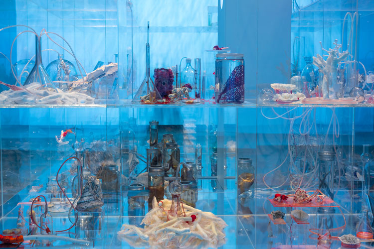 Janet Laurence, Deep Breathing: Resuscitation for the Reef, 2015–16 (detail). Installation view, Janet Laurence, After Nature, Museum of Contemporary Art Australia, Sydney, 2019. Image courtesy Jacquie Manning.