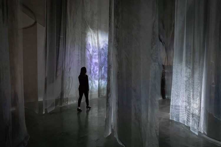 Janet Laurence, Forest (Theatre of Trees), 2018–19. Installation view, Janet Laurence: After Nature, Museum of Contemporary Art Australia, Sydney, 2019. Dye sublimation print on voile, aluminium extrusion, mesh, tulle, painted leaves, archival scientific images, editor: Gary Warner, production assistant: Anna Ewald-Rice, sound in collaboration with Jane Ulman and Gary Warner, source footage and additional photography: Rob Blaker, Benjamin Huie, Julian Knysh, Gary Warner, collection of the artist, image courtesy the Museum of Contemporary Art Australia © the artist. Photo: Zan Wimberley.