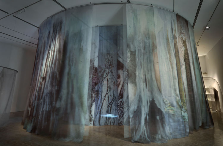 Janet Laurence, Theatre of Trees, 2018-19. Four circular structures, mesh, silk, duraclear, audio, video projections, books, scientific glass, plant specimens, botanical models and substances. Installation view, Janet Laurence: After Nature, Museum of Contemporary Art Australia, Sydney, 2019. Collection of the artist, image courtesy the Museum of Contemporary Art Australia © the artist. Photo: Zan Wimberley.