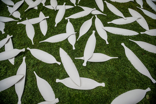 Kaldor Public Art Project 32: Jonathan Jones. Barrangal dyara (skin and bones), Royal Botanic Garden, Sydney, 17 September – 3 October 2016. Photo: Peter Greig.