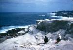 A photo of Kaldor Public Art Project 1: Christo and Jeanne-Claude’s Wrapped Coast – One Million Square Feet taken by art education lecturer Ellen Waugh in 1969. Ellen used her photographs as slides for teaching. These slides were scanned and new colour photographs of the legendary project were discovered last year.