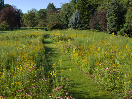 Leckhampton Prairie Garden