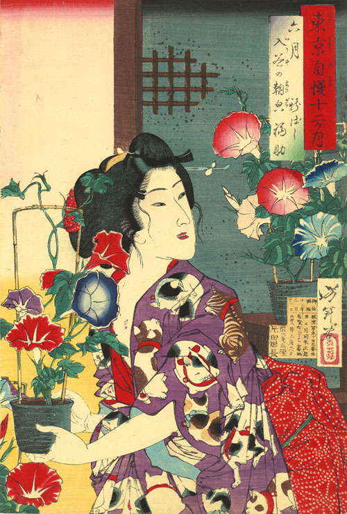 Tsukioka Yoshitoshi (1839–92), Sixth Month: Fukusuke of Shinbashi with Morning Glories at Iriya from the series of Pride of Tokyo’s Twelve Months, 1880. Colour woodblock print; 22 ½ x 16 in. Courtesy Hiraki Ukiyo-e Foundation.