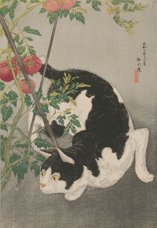 Takahashi Hiroaki (Shōtei) (1871–1945), Cat Prowling Around a Staked Tomato Plant, 1931. Colour woodblock print; 29 ½ x 23 ¼ in. Courtesy Private Collection, New York and Tokyo.