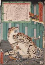 Kawanabe Kyōsai (1831–89), A True Picture of the Fierce Live Tiger Never Seen from the Past to the Present, 1860. Colour woodblock print; 14 x 9 ¾ in. Courtesy Ronin Gallery, New York.