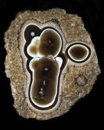 Le Lagoon, agate. From the stone collection of Roger Caillois. © Muséum national d’Histoire naturelle François Farges.
