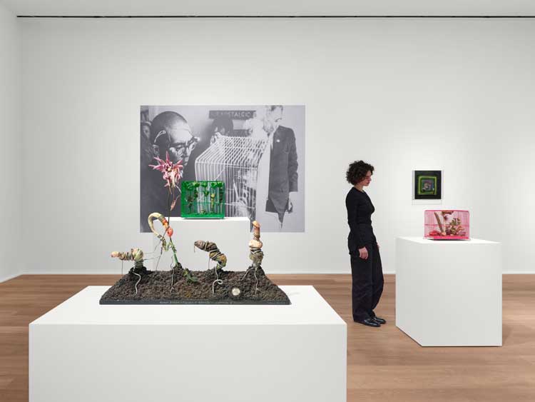 Tetsumi Kudo. Microcosms, installation view, Hauser & Wirth London, 2026. © Hiroko Kudo, the Estate of Tetsumi Kudo / Artists Rights Society (ARS), NY / ADAGP Paris 2026. Courtesy Hiroko Kudo, the Estate of Tetsumi Kudo and Hauser & Wirth. Photo: Eva Hurzog.