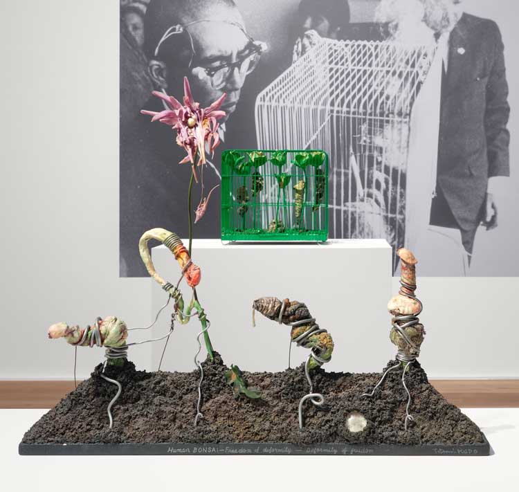 Tetsumi Kudo. Microcosms, installation view, Hauser & Wirth London, 2026. © Hiroko Kudo, the Estate of Tetsumi Kudo / Artists Rights Society (ARS), NY / ADAGP Paris 2026. Courtesy Hiroko Kudo, the Estate of Tetsumi Kudo and Hauser & Wirth. Photo: Eva Hurzog.