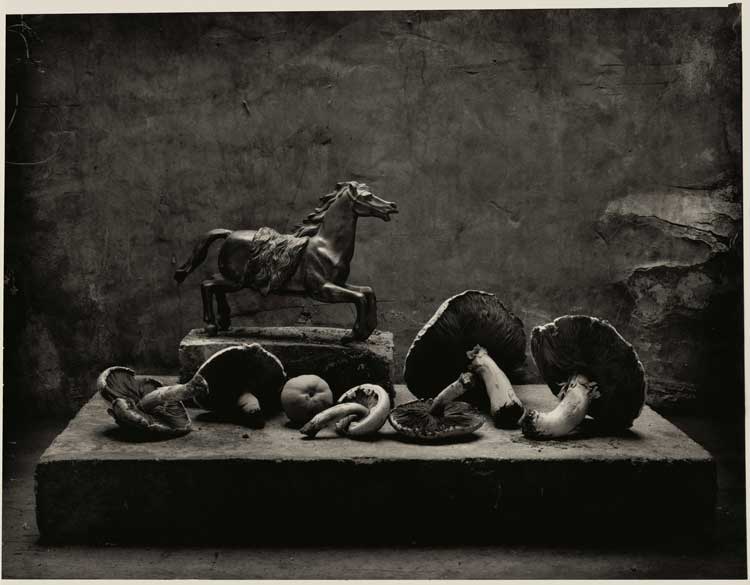 Don McCullin, Still life with mushrooms and horse statue, c1989. © Don McCullin. Courtesy the artist and Hauser & Wirth.