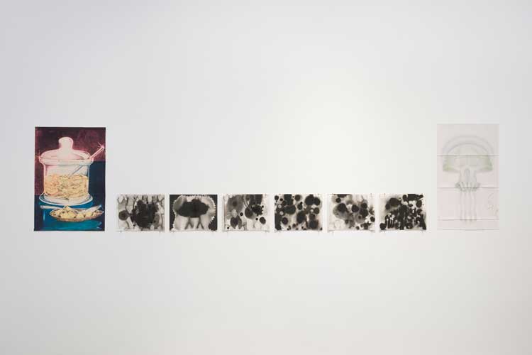 Christina Mackie, Material Reality, installation view, Goldsmiths Centre for Contemporary Art, London, 30 January –19 April 2026. Courtesy Goldsmiths CCA. Photo: Rob Harris.