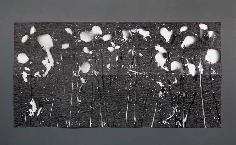 William Mackrell, Rage Rage Against the Dying of the Light, 2020. Rayograph and text framed in UV glass, 245 x 126 cm.