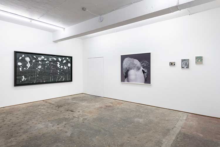Exhibition view, William Mackrell, Rage Rage Against the Dying of the Light, Lungley Gallery, London, 2020.