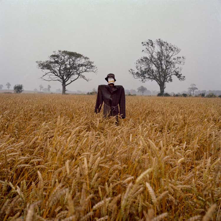 Peter Mitchell, Scarecrow 28. © Peter Mitchell.