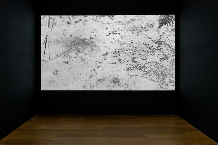 Yulia Mahr: Unbecoming. Installation view, Wehrmuehle, 2024. Photo: Angela Simi.