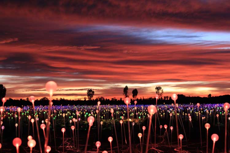 Bruce Munro. Field of Light, Uluru, Australia, 2016. Mild steel, acrylic stems, glass spheres, fibre optics, light source, 49,000 sq m. Photo: Serena Munro.