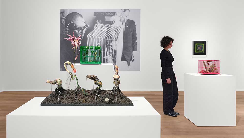 Takesada Matsutani: Shifting Boundaries, and Tetsumi Kudo: Microcosmos