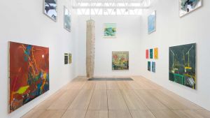 Through a series of installations, which can be read and reread on multiple levels, Mackie questions how we look at and understand the world, through art, science and technology