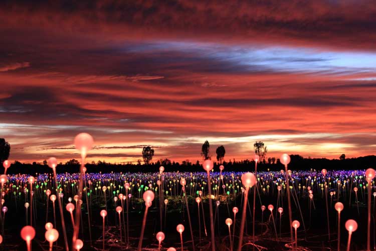 Bruce Munro. Field of Light, Uluru, Australia, 2016. Mild steel, acrylic stems, glass spheres, fibre optics, light source, 49,000 sq m. Photo: Serena Munro.