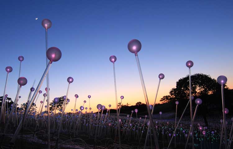 Bruce Munro, Field of Light, Sensorio, Paso Robles, California, USA, 2019. Mild steel, acrylic stems, glass spheres, fibre optics, light source, 26,500 sq metres. Photo: Serena Munro.