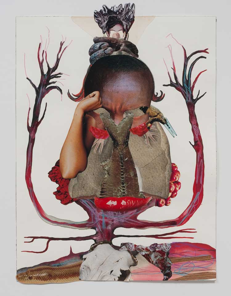 Wangechi Mutu, Detail of Family Tree, 2012. Suite of 13 mixed-media collages on paper, dimensions variable. Courtesy of the Artist and Susanne Vielmetter Los Angeles Projects. Photo: Robert Wedemeyer.