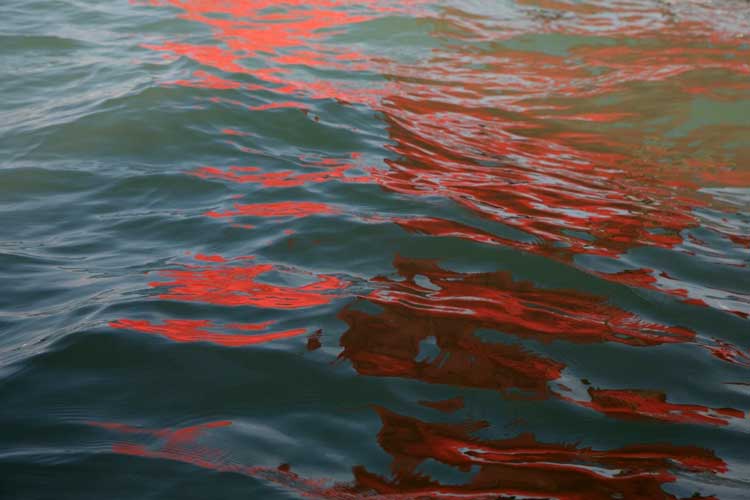 Melissa McGill. Riflessi (Red Regatta – 1 September 2019) – 6, 2019. Archival pigment print. © Melissa McGill Mazzoleni, London - Torino.