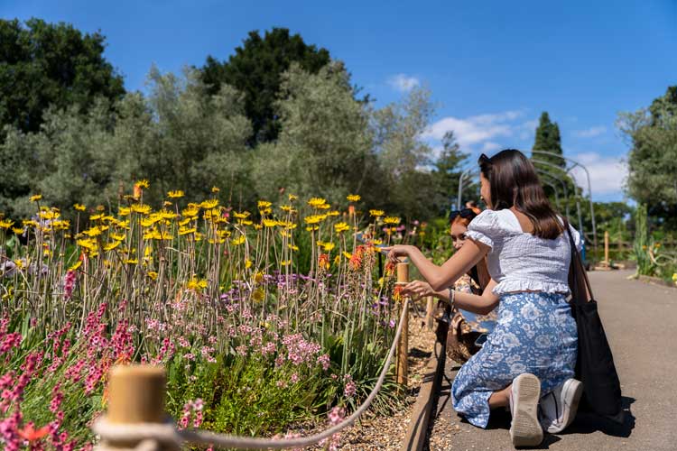 Students visit the Horniman Museum and Gardens, London, June 2022. Photo: Amaal Said.