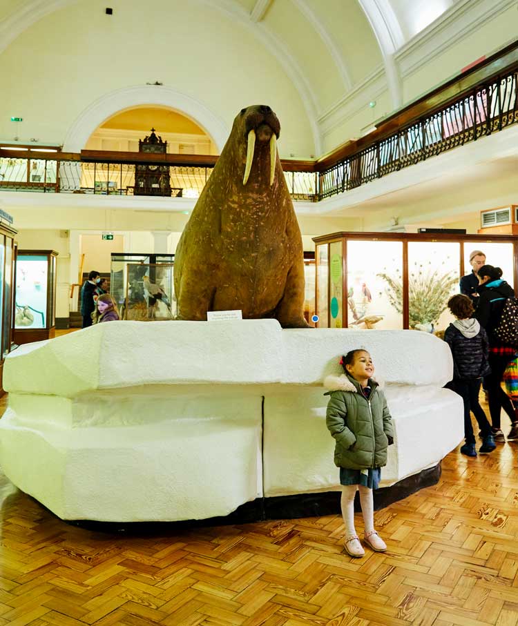 Horniman Museum and Gardens, London, Art Fund Museum of the Year winner 2022. © Emli Bendixen.