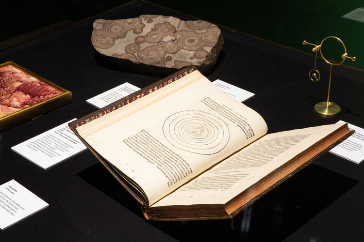 Installation view, Angelica Mesiti: In the Round, Talbot Rice Gallery, University of Edinburgh, 2021. Photo: Sally Jubb.