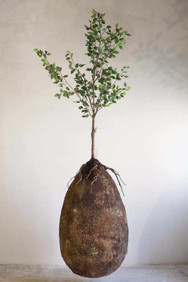 Anna Citelli and Raoul Bretzel, Capsula Mundi. 2003. Photo: Francesco D’Angelo. Courtesy the designers.