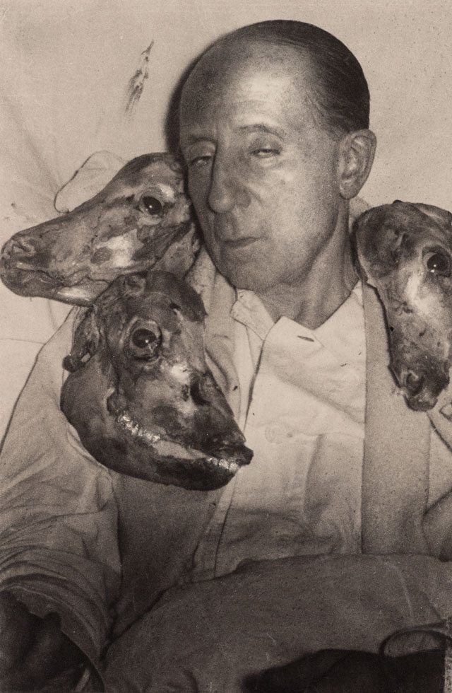 Dora Kallmus. Marquis de Cuevas with skinned sheep heads, c1954. Gelatin silver print. Museum für Kunst und Gewerbe Hamburg. Photo: Nachlass Madame d’Ora/Museum für Kunst und Gewerbe Hamburg.