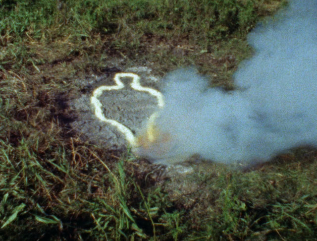 Ana Mendieta. Untitled: Silueta Series, 1978. Super 8 film, colour, silent. Photograph: The Estate of Ana Mendieta Collection, LLC. Courtesy of Galerie Lelong & Co.4