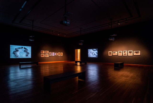 Installation view of Covered in Time and History: The Films of Anna Mendieta at Gropius Bau, Berlin. Copyright The Estate of Ana Mendieta Collection, LLC. Courtesy of Galerie Lelong & Co.