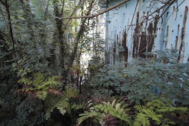 Michael Wang, The Drowned World, 2018. Environmental installation. Photograph: Wolfgang Träger. Courtesy of Manifesta 12, Palermo.