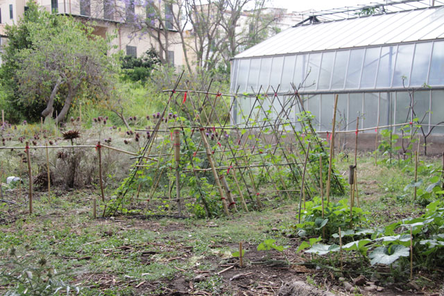 Leone Contini, Foreign Farmers, 2018. Installation. Photograph: Wolfgang Träger. Courtesy of Manifesta 12, Palermo.